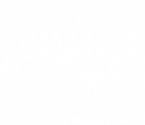 Avid Insurance Services 2